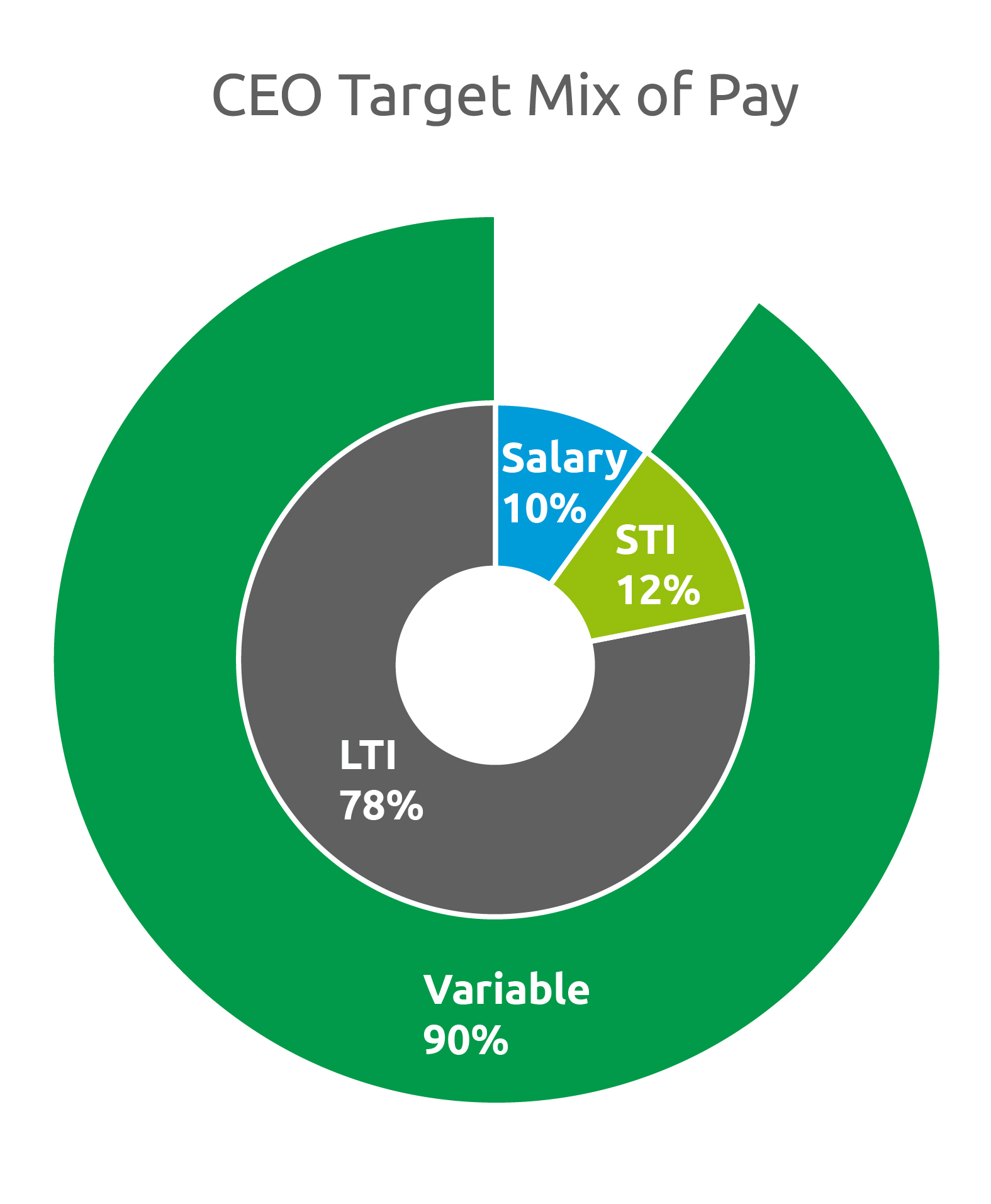 Pie-Charts_CEO-Target-Mix-Pay-23.jpg
